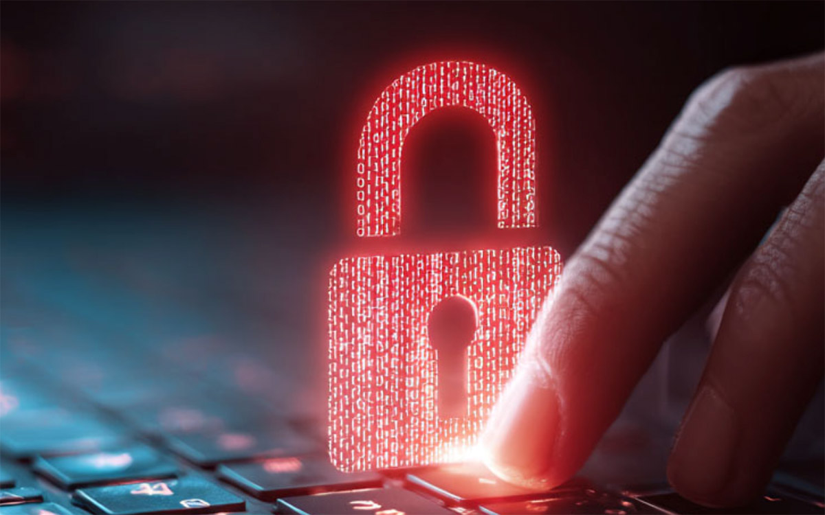 Top IT Vulnerability Scanner Tools for Security Professionals
